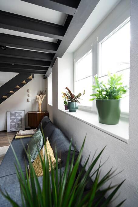 Apartment In Weinstadt-Schnait 외부 사진